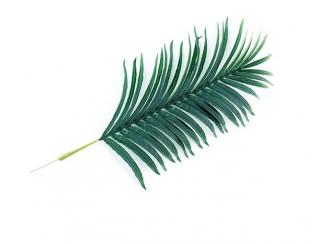 Umělý list palmový Areca, sada  75, 100, 110 nebo 120cm Varianta: 100cm