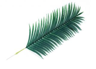 Umělý list palmový Areca, sada  75, 100, 110 nebo 120cm Varianta: 120cm