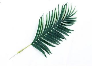 Umělý list palmový Areca, sada  75, 100, 110 nebo 120cm výška: 75cm
