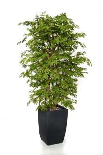 Umělý strom Maple Boschetto  javor Varianta: 180cm multicolor