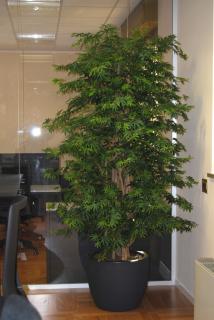 Umělý strom Maple Boschetto  javor výška: 180cm zelená
