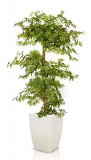 Umělý strom Maple Multistep  javor Varianta: 150cm multicolor