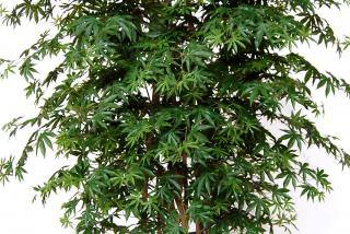 Umělý strom Maple Multistep  javor výška: 180cm zelená