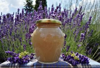 Zázvor v pastovaném medu  Zázvor v pastovaném medu Velikost: 400g