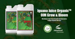 Advanced Nutrients Iguana Juice Organic Grow - OIM Nová Receptura! 1l