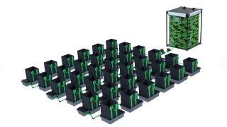 Alien Hydroponics 36 Pot 16LTR EasyFeed™ System