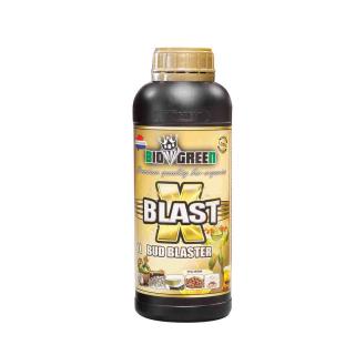 Biogreen X-Blast 1l