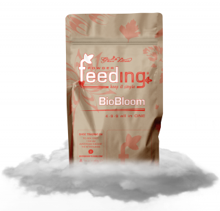 Green House Powder Feeding Bio Bloom 125g