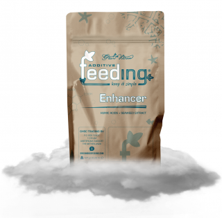 Green House Powder Feeding Enhancer 125g