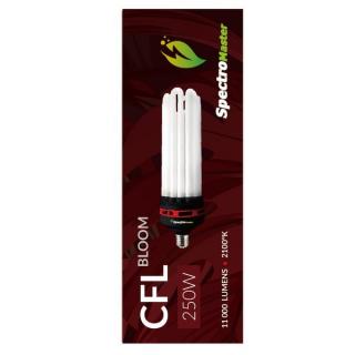 Spectromaster CFL 250W Bloom 2100K