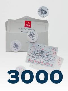Dárkový poukaz 3000Kč ve vánočním balení – stříbrná obálka