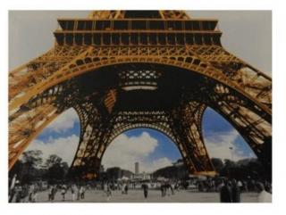 Obraz na plátně-Eiffelova věž - OBR469719