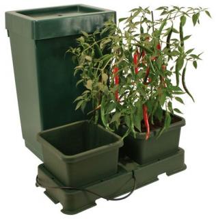 AutoPot Easy2Grow Kit