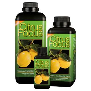GT - Citrus Focus Balení: 1l