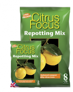 GT - Citrus Focus objem v litrech: 8