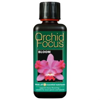 GT - Orchid Focus Bloom 300mL