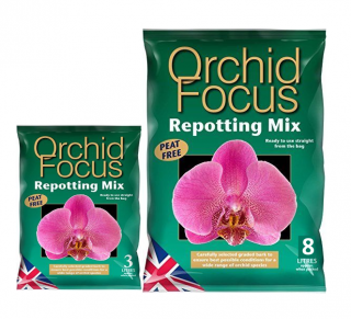 GT - Orchid Focus Objem: 3 litry