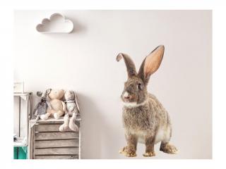Nálepka na zeď - zvířátka - králík Velikost: malá