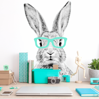 Samolepka na zeď - králík v brýlích Barva doplňku: černá, Velikost: XXL