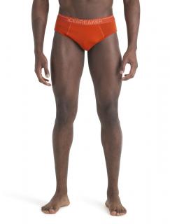 Pánské merino slipy ICEBREAKER Mens Anatomica Briefs, Molten velikost: S