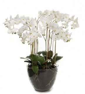 Umělá dekorace - Orchidea bohatá bílá ve skle 90cm