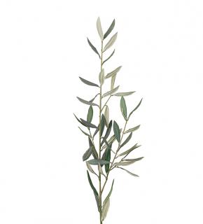 Umělá dekorace - Větvička olivovníku 50cm
