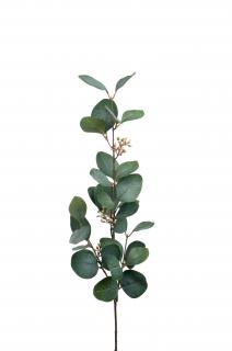 Umělá květina - Eukalyptus velkolistý 70cm
