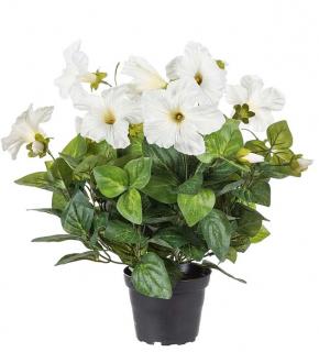 umělá květina - Petunie bílá v květináči