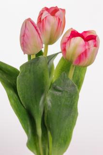 Umělá květina - Tulipán žíhaný mix, 36 cm