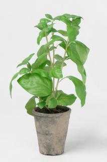 Umělá rostlina - Bazalka okrasná v květináči 38cm