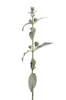 Umělá rostlina - Pelyněk stříbrný 68cm