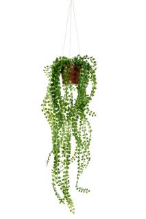 Umělá rostlina - Pilea v květináči - 62 cm