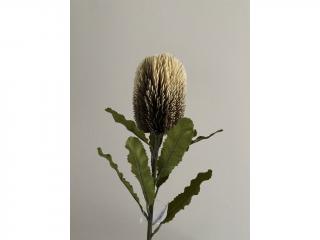 Protea umělá krémová 65cm