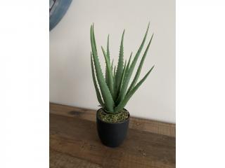 Umělá Aloe vera 45cm