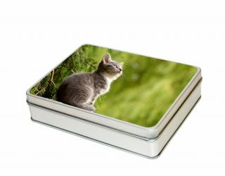 Plechová krabička malý obdélník - Mourovaté kotě v lese