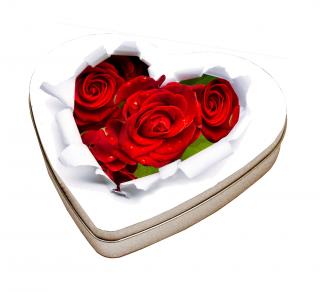 Plechová krabička srdce - Puget růží