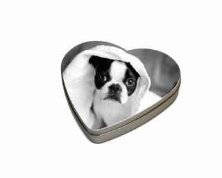Plechová krabička velké srdce - Bostonský teriér štěně