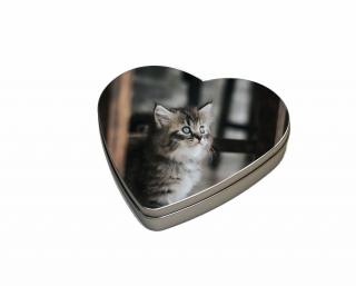 Plechová krabička velké srdce - Mourovaté kotě