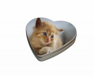 Plechová krabička velké srdce - Zrzavé kotě