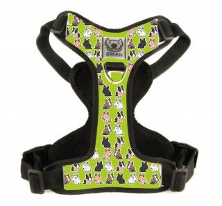 Postroj BULICI - Harness BULLIE's (MINI) BARVA / COLOR: zelená / Green, VARIANTA / OPTION: S PŘEPÍNACÍM VODÍTKEM (vodítko bez motivu v barvě obojku) -…