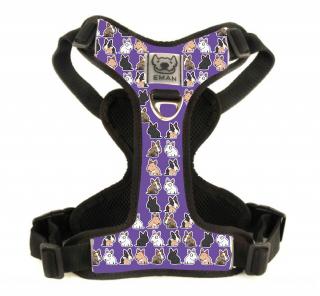Postroj BULICI - Harness BULLIE's (STANDARD) BARVA / COLOR: fialová / Violet, VARIANTA / OPTION: S KLASICKÝM VODÍTKEM (vodítko s motivem obojku) -…