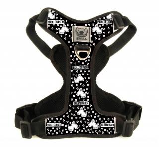 Postroj BULLTERRIER - Harness BULLTERRIER (MINI) BARVA / COLOR: černá / Black, VARIANTA / OPTION: S KLASICKÝM VODÍTKEM (vodítko bez motivu v barvě…