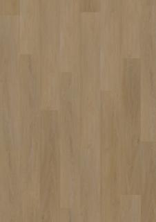 Solide Click 55 064 English Oak Honey
