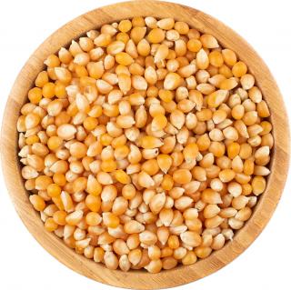 Kukuřice na popcorn BIO Množství: 500 g