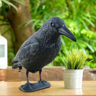 Plastový havran - Odpuzovač ptáků na balkon i do zahrady