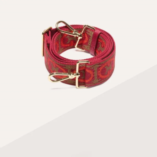 NASTRO MONOGRAM TRICOLOR POPRUH COCCINELLE MUL.GAZPAC/SANG LIGHT GOLD SS25