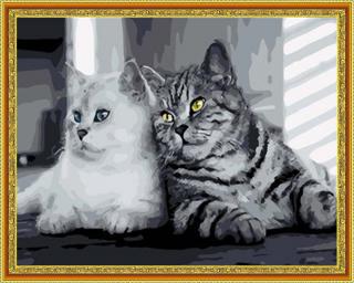 Diamantové malování - Dvě kočky  Včetně předtištěného ozdobného rámu