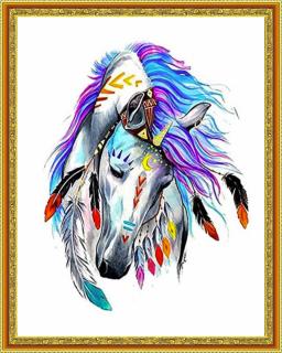 Diamantové malování - Indiánský kůň  Včetně předtištěného ozdobného rámu