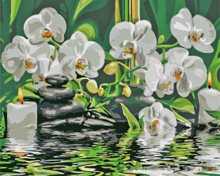 Diamantové malování - Oblázky a bílé orchideje