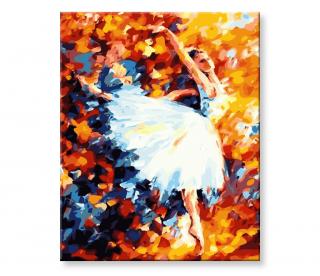 Malování podle čísel - Baletka ve víru tance